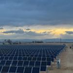 Lark Bunting & Beclee Solar | Weld County, CO