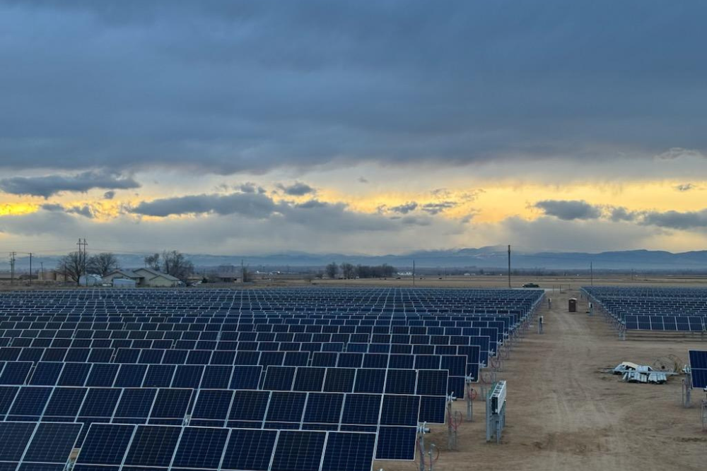 Lark Bunting Utility Solar Project